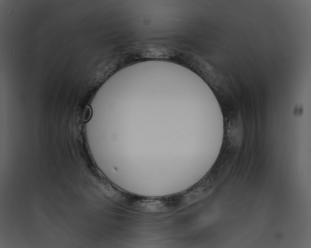 X0000089410322200707131806