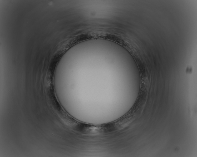 X0000089410323200707131806