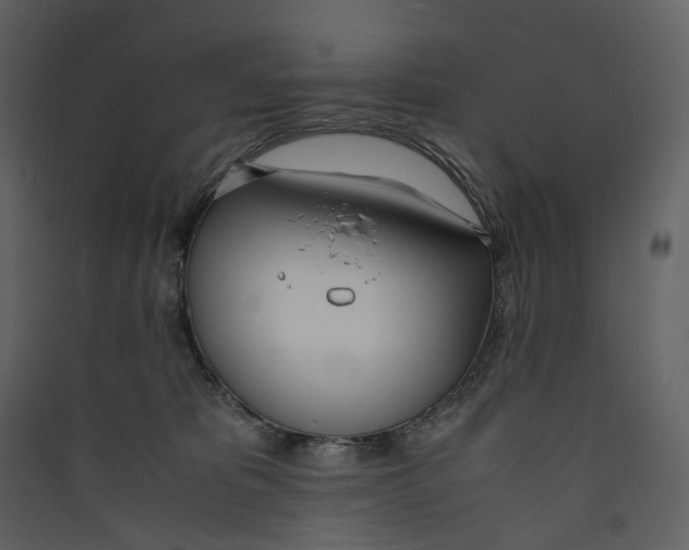 X0000089410325200707131806