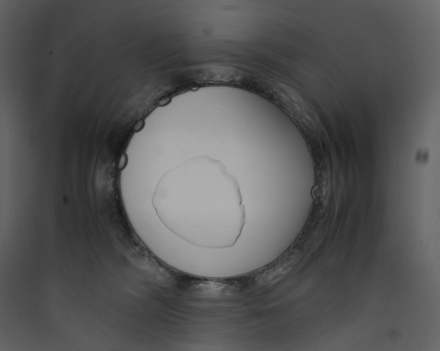 X0000089410326200707131806