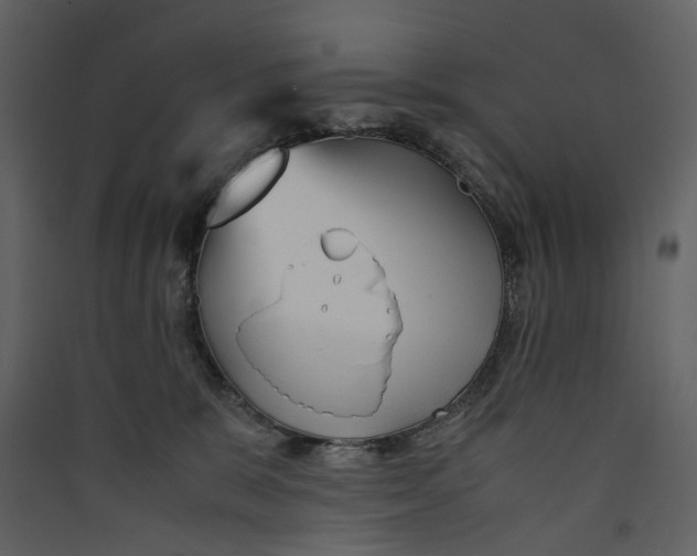 X0000089410327200707131806