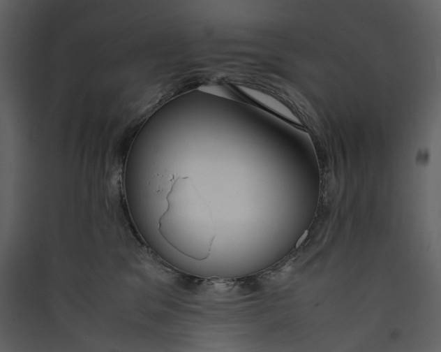 X0000089410329200707131806