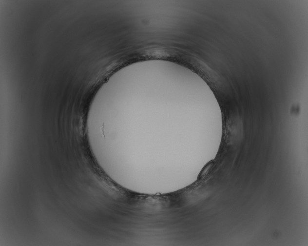 X0000089410330200707131806
