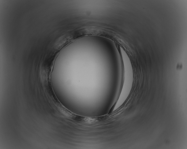 X0000089410333200707131806