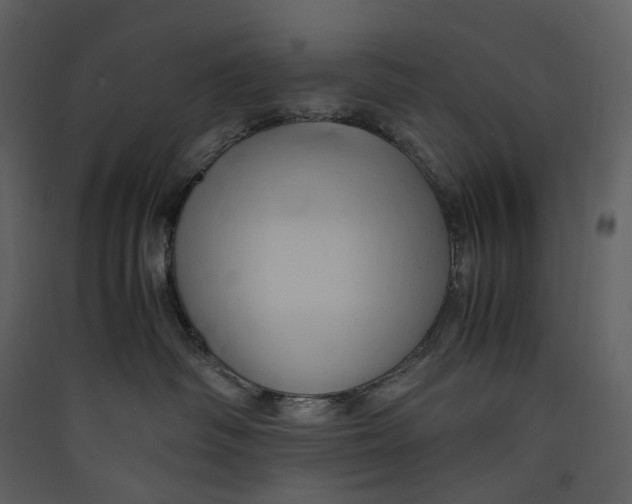 X0000089410334200707131806