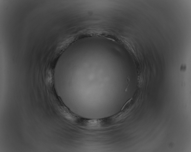 X0000089410335200707131806