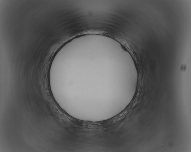X0000089410337200707131805