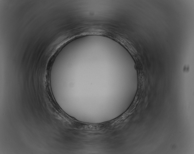 X0000089410338200707131805