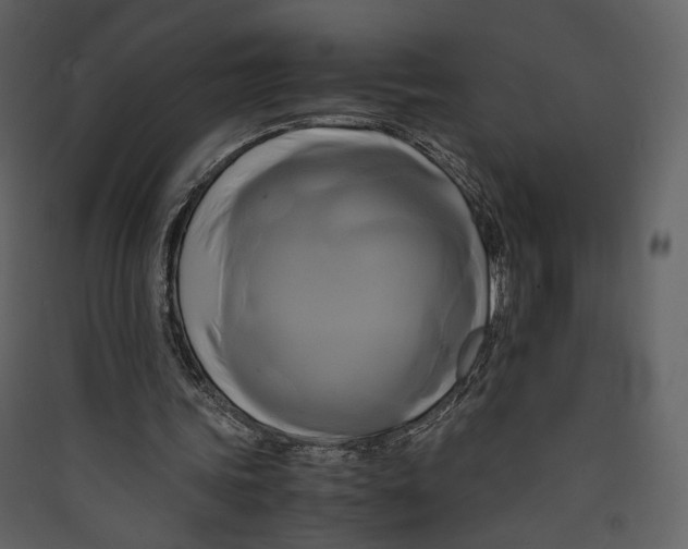 X0000089410339200707131805