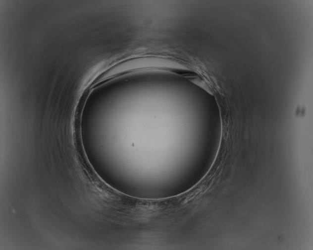 X0000089410340200707131805