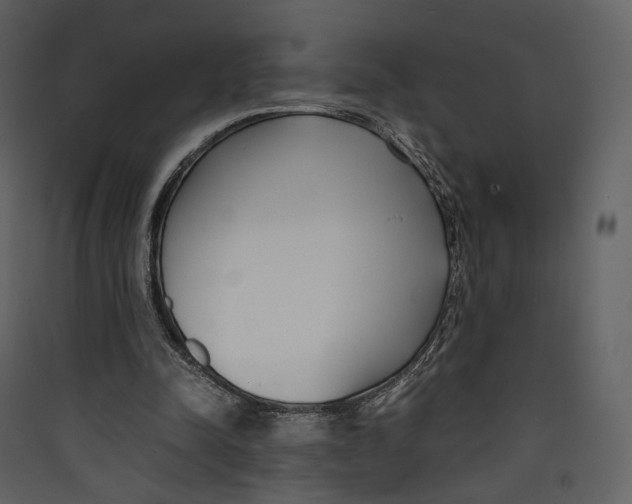 X0000089410342200707131805