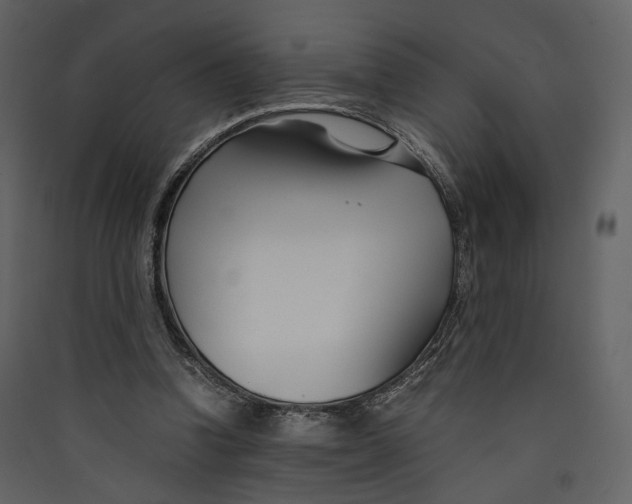 X0000089410346200707131805