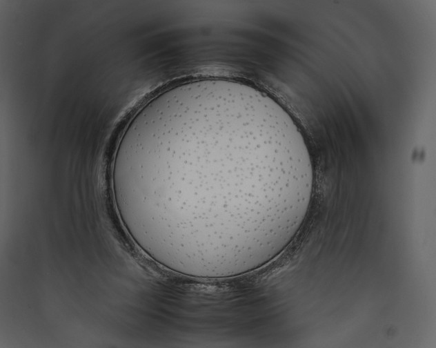 X0000089410347200707131805