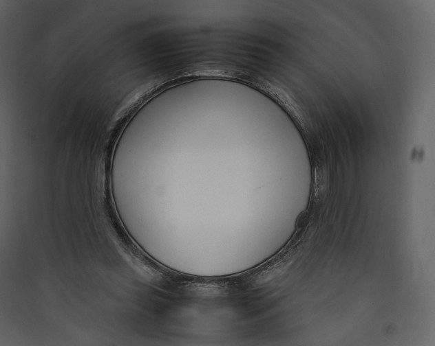 X0000089410349200707131805