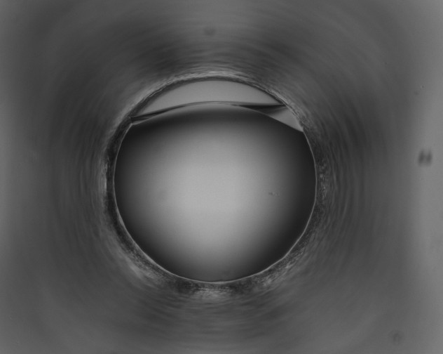 X0000089410350200707131805