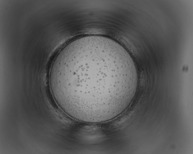 X0000089410351200707131805