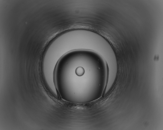 X0000089410352200707131805
