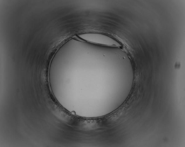 X0000089410353200707131805