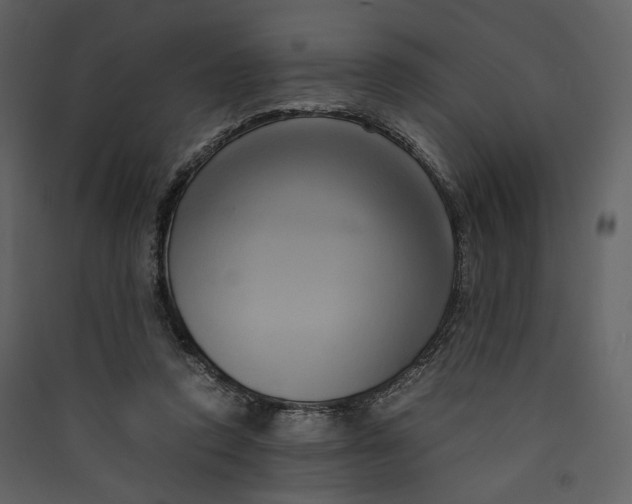 X0000089410354200707131805