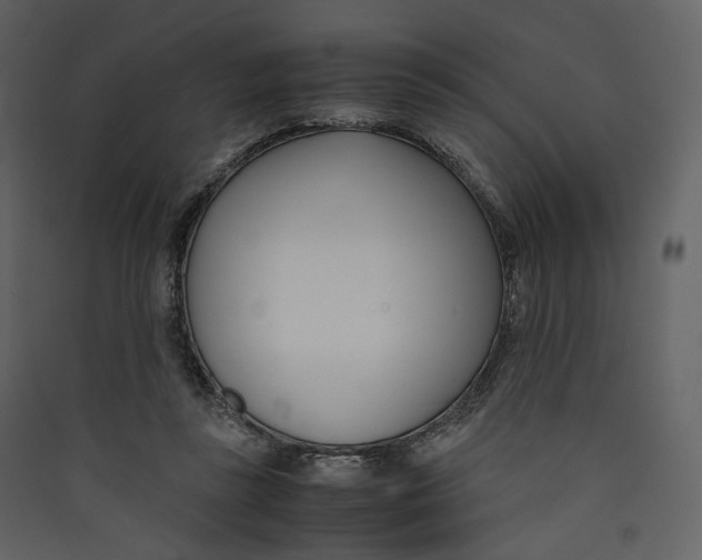 X0000089410355200707131805