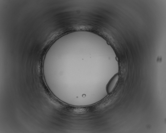 X0000089410357200707131805