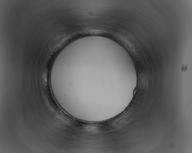 X0000089410358200707131805