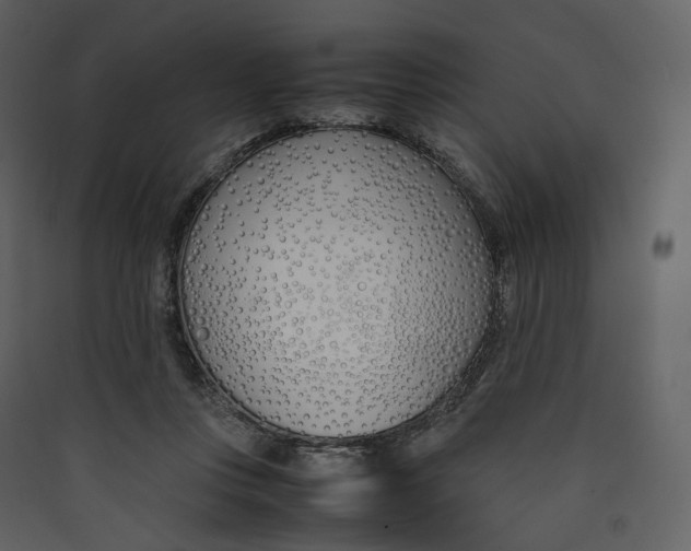 X0000089410359200707131805