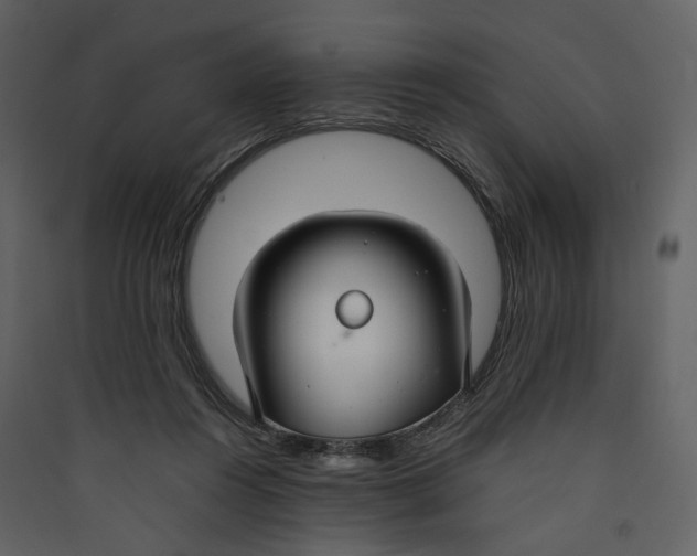 X0000089410360200707131805