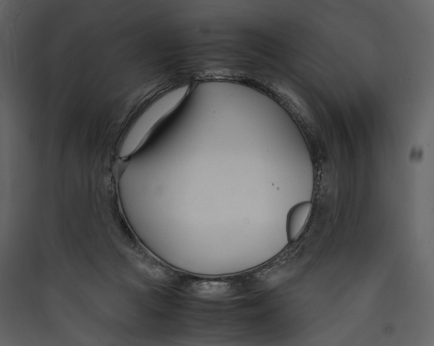 X0000089410361200707131805