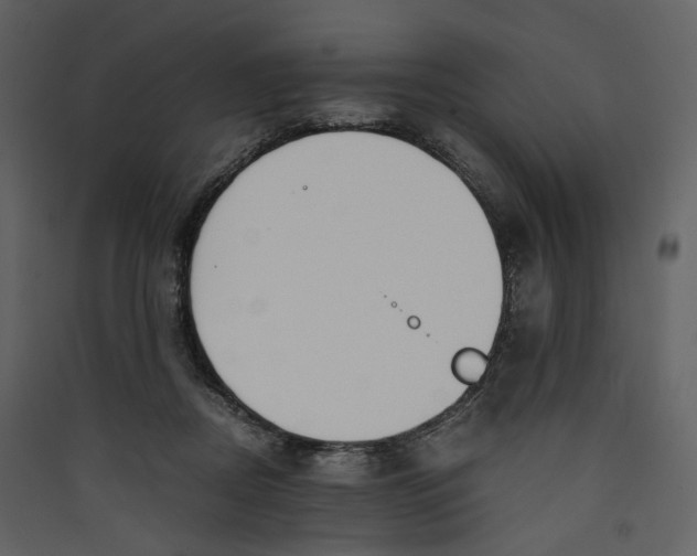 X0000089410362200707131805