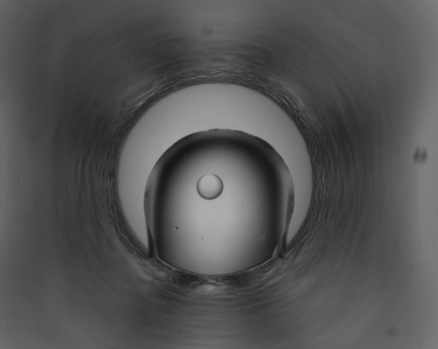 X0000089410364200707131805