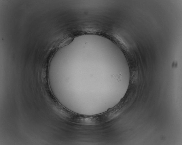 X0000089410365200707131805
