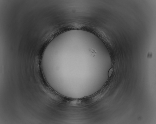 X0000089410366200707131805
