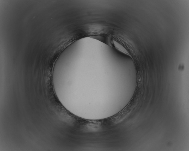 X0000089410369200707131806