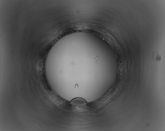 X0000089410372200707131806