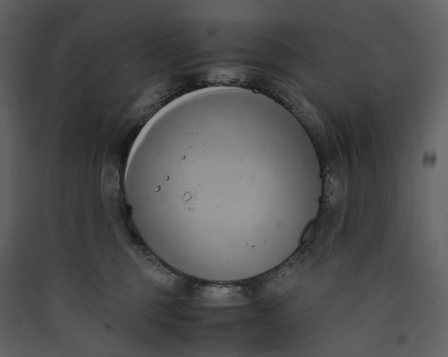 X0000089410375200707131806