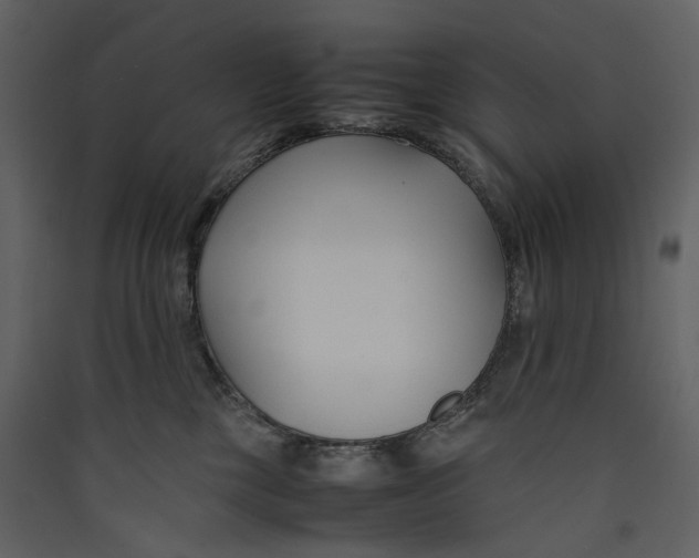 X0000089410377200707131806