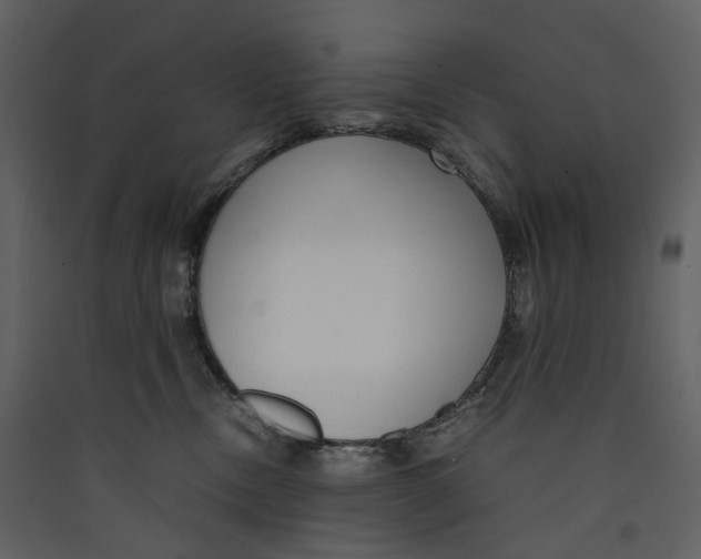 X0000089410378200707131806