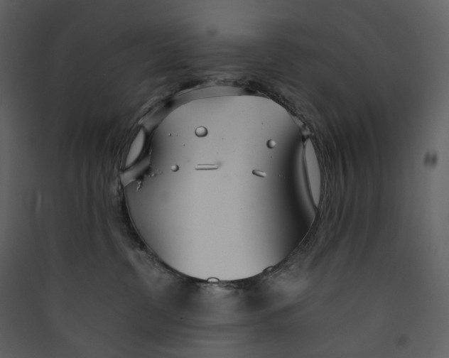 X0000089410380200707131806