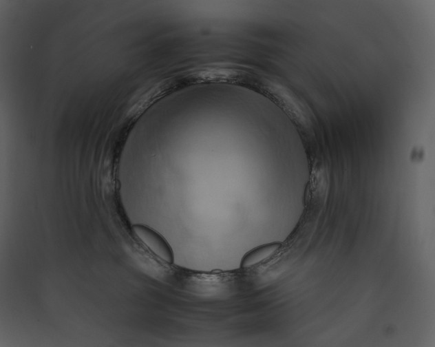 X0000089410381200707131806