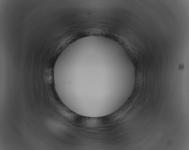 X0000089410383200707131806