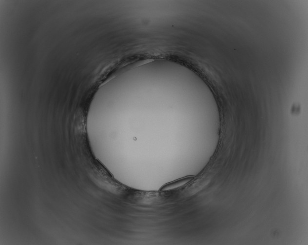 X0000089410384200707131806