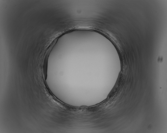 X0000089410385200707131805