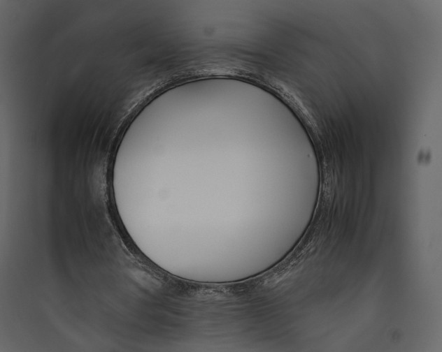 X0000089410386200707131805