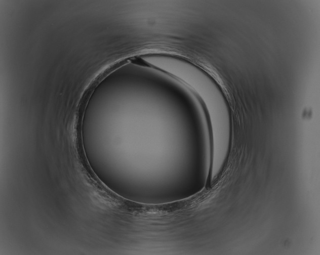 X0000089410387200707131805
