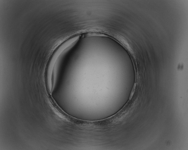 X0000089410389200707131805