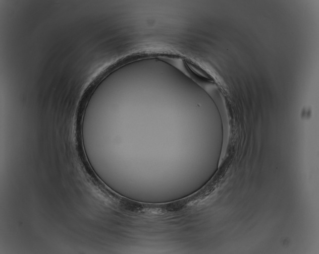 X0000089410391200707131805