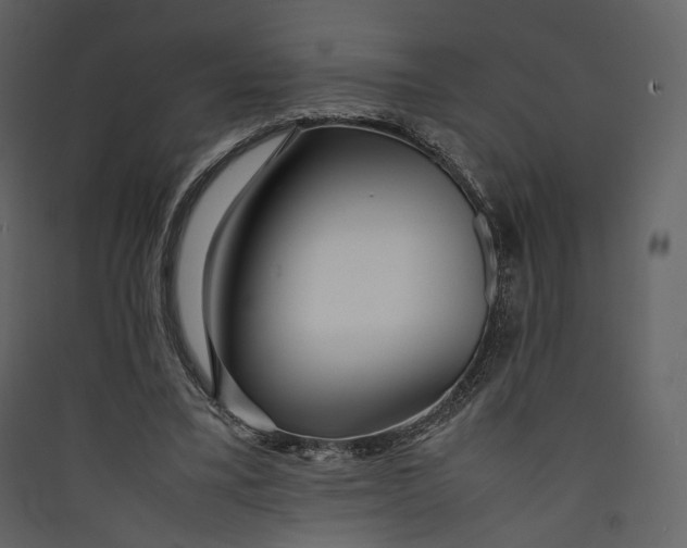X0000089410395200707131805