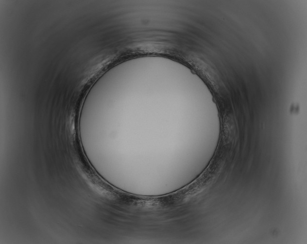 X0000089410398200707131805