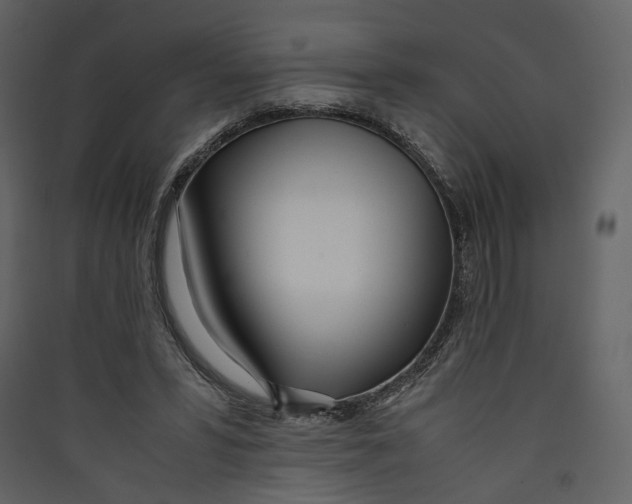 X0000089410399200707131805